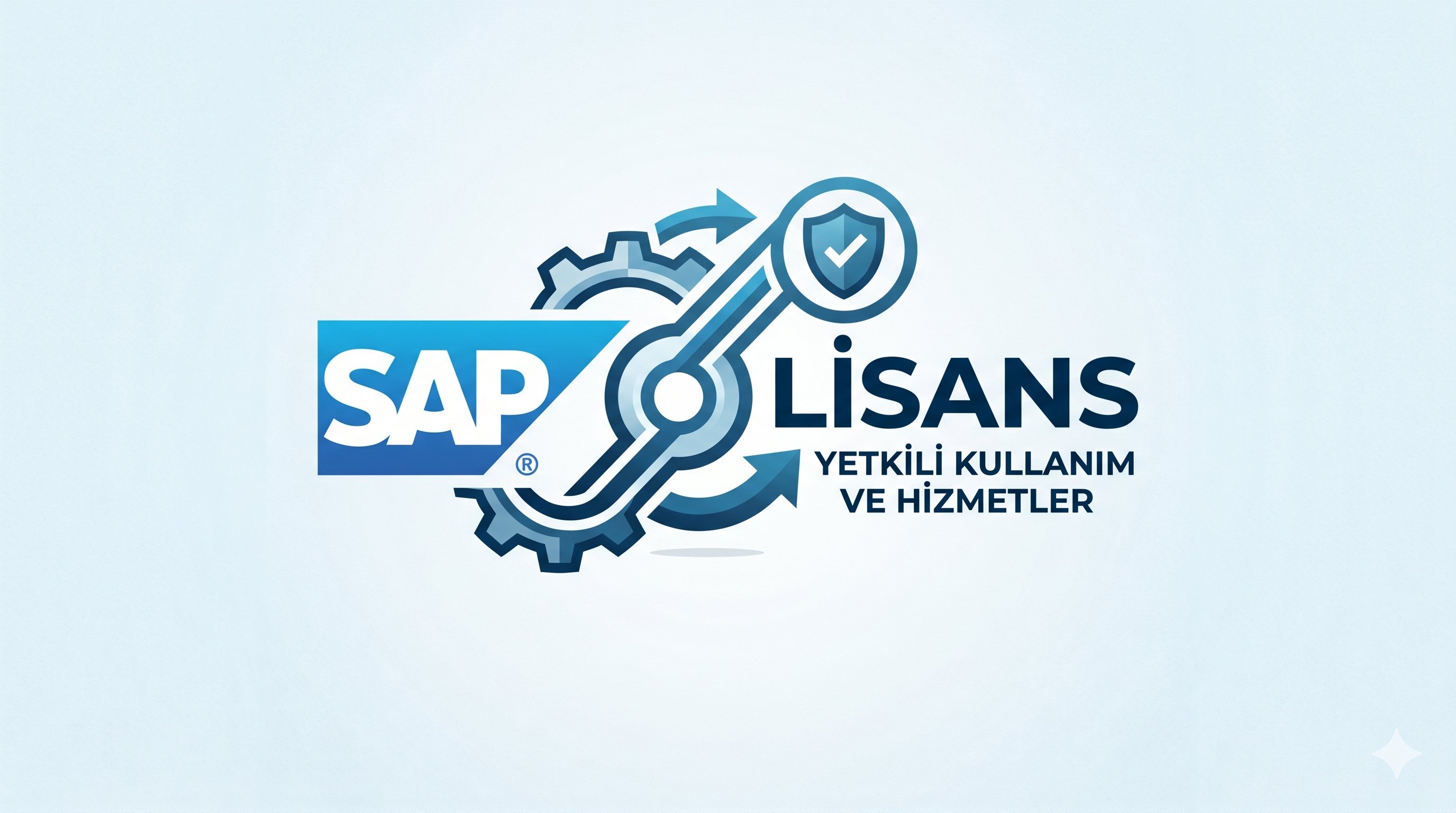 SapLisans Logo